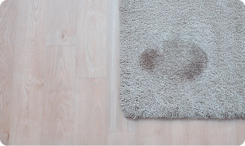 Пятна от плесени